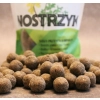 opakowanie kulek proteinowych z wysypanymi kulkami na szarym tle